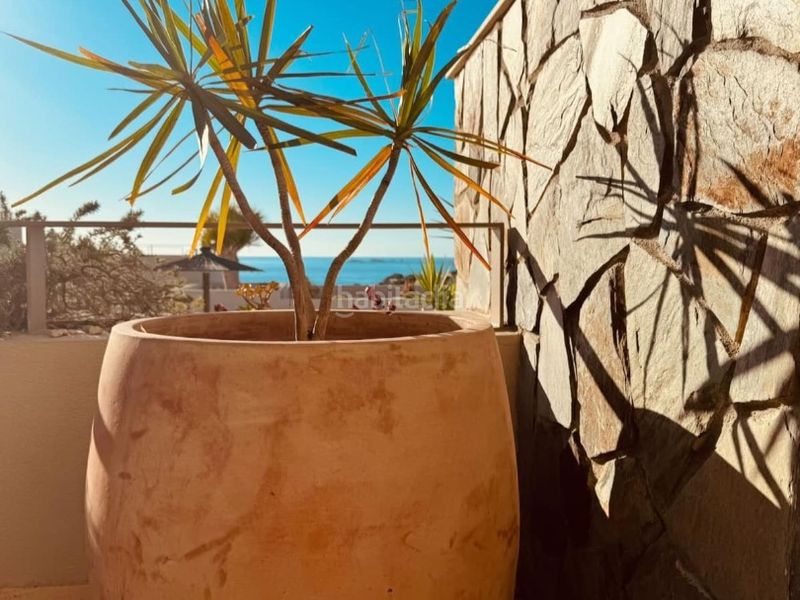 Foto e418fdc7-8f7e-44e0-accd-2cb09a6eea13. Location duplex dans carer de ses serretes 3 dans Cala Vedella-Cala Tarida Sant Josep de sa Talaia