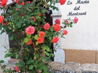 Masia a Carrer plaça 48. Ocasión, inmejorables vistas, en el pueblito de albarca
