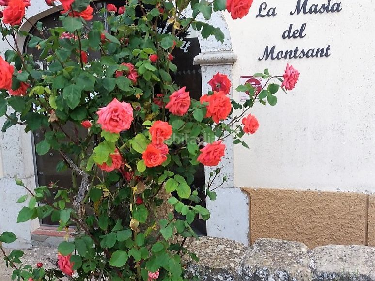 Foto 5d03c2c1-ec6c-495d-ae3d-130d6ca34320. Masia a carrer plaça 48 a Cornudella de Montsant