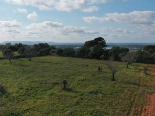 Finca rústica a Plaça major 1. Terreno en santanyi con excelente ubicación y vistas a cabrera c
