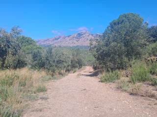 Finca rústica a Carretera de piera 0. Terreno rustico  en carretera mas d’en gall