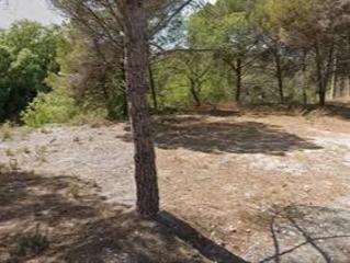 Terreny residencial a Carrer freixe 21. Terreno completamente llano
