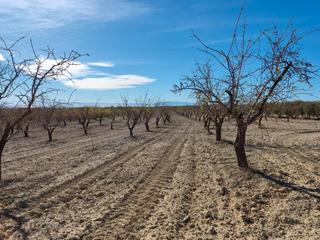 Finca rústica a Mayor  33. Terreno en castilléjar