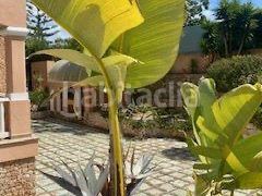 Foto e92ce909-8464-41dc-b4ad-2bb3e9cdd959. Chalet in carrer d'azorin 3 in Jesús Santa Eulària