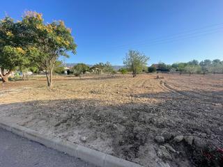 Terrain résidentiel à Polígono  7. Oportunidad solar urbano en úbeda pinoso
