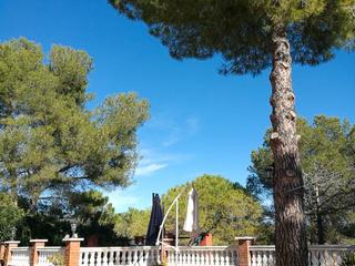 Casa en alquiler en bisbal del penedès (la). si qu