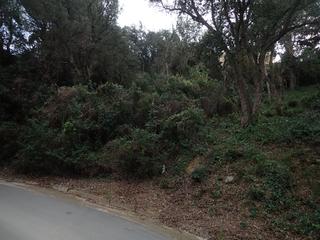 Terreno residencial en Avinguda de les illes 28. Terreno para construir en serra brava
