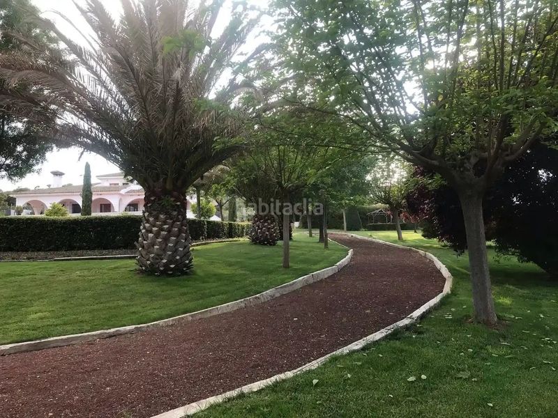 Foto 02888f8f-abcb-42a8-8360-38a8b23850ec. Finca rústica a cm-403 50 a Porzuna