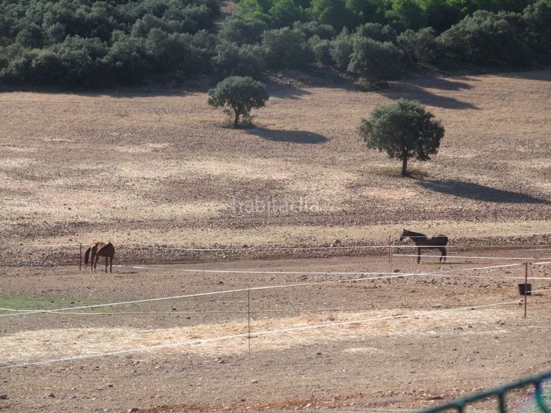 Foto 536af7ff-4136-4cee-936c-5b6ec8d73a1e. Finca rústica a cm-403 50 a Porzuna