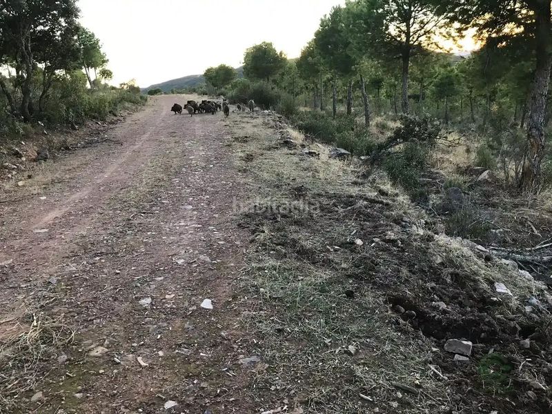 Foto 999b5a05-72f2-41b0-bba8-c5d1f6ce8f76. Finca rústica a cm-403 50 a Porzuna