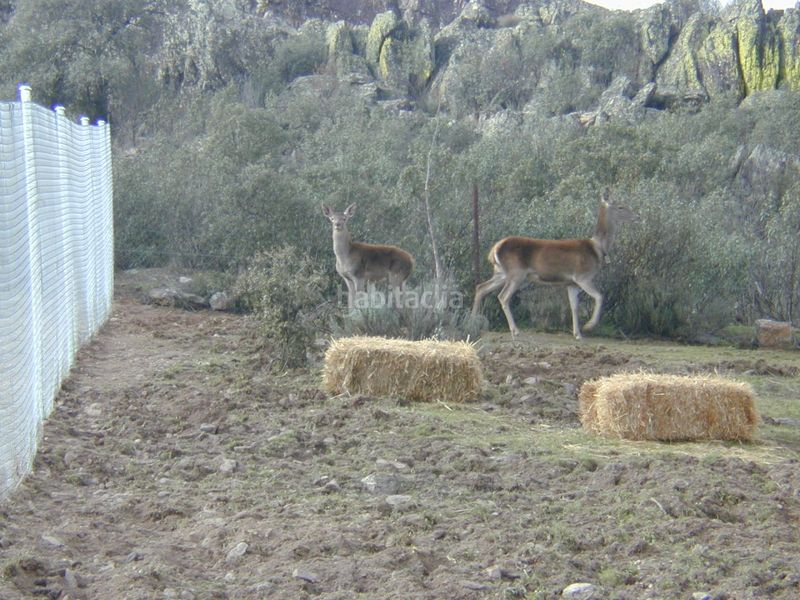 Foto aad01fa3-0b26-4699-b7b0-7e0c62ff88b8. Finca rústica a cm-403 50 a Porzuna