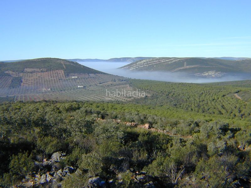 Foto b11834f9-2109-4c0c-be12-ffe6689c3a00. Finca rústica a cm-403 50 a Porzuna