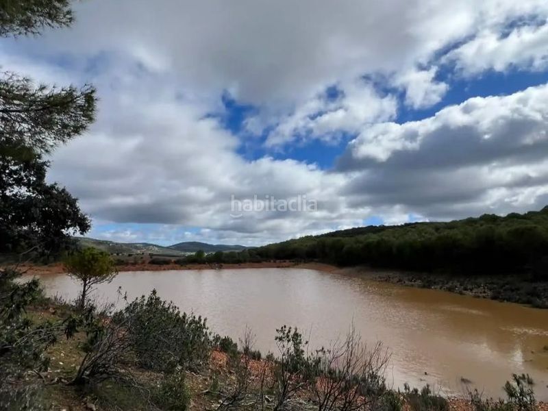 Foto b3d8929f-c983-479d-9216-e93dba56edb8. Finca rústica a cm-403 50 a Porzuna