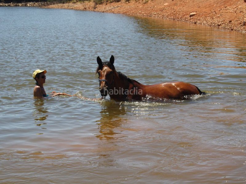 Foto b5681842-f220-4137-b2e1-a1412d6d4734. Finca rústica a cm-403 50 a Porzuna