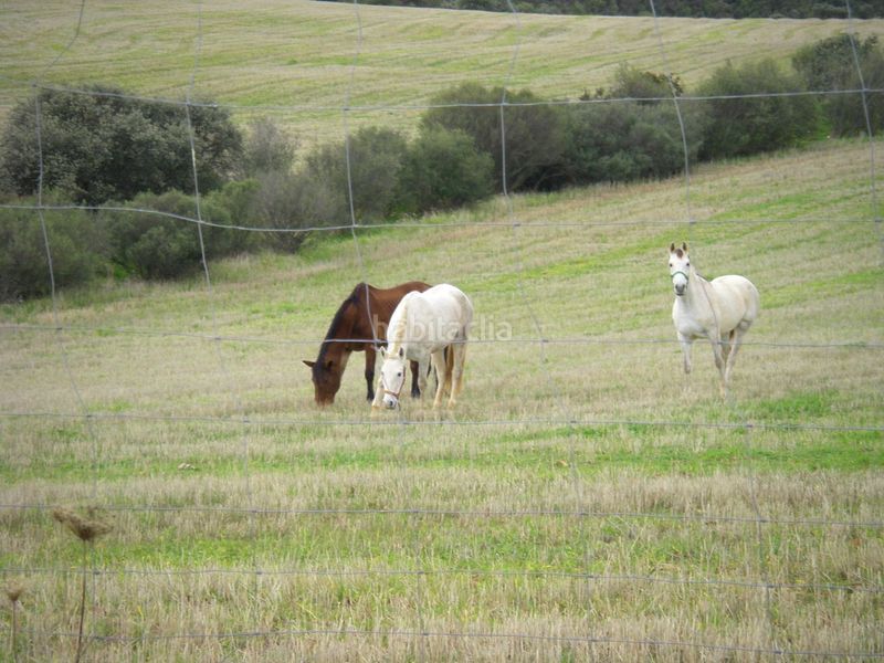 Foto cc192689-947c-4c92-8015-c3e2260fd71e. Finca rústica a cm-403 50 a Porzuna