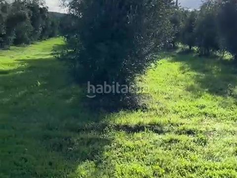 Foto daae258c-3666-4f37-84e8-472d9be437ed. Finca rústica a cm-403 50 a Porzuna