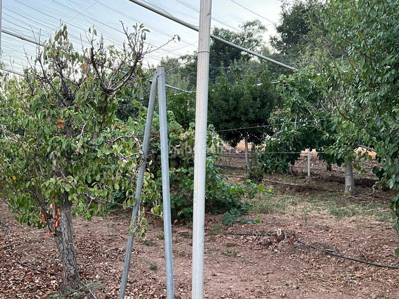 Foto dc04c5e3-62fe-47a2-a8ac-60d52f9915d3. Finca rústica a cm-403 50 a Porzuna