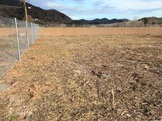 Rent Rural plot in Carrer de frança 12. Terreno alquiler de 4.000 metros en ubicacion ideal de la garrot