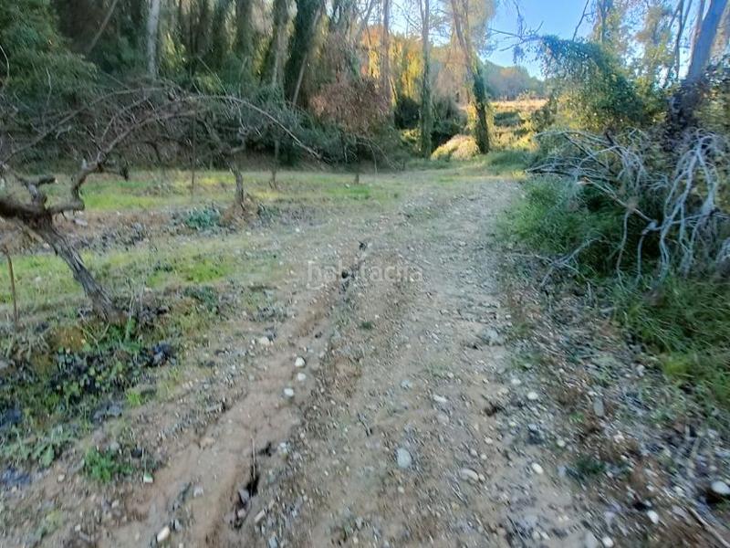 Foto 043ad35f-7192-4089-959b-2e3f639a979c. Finca rústica a carretera de piera 1 a Nucli Urbà Esparreguera