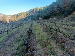 Finca rústica a Carretera de piera 1. Precioso terreno con río