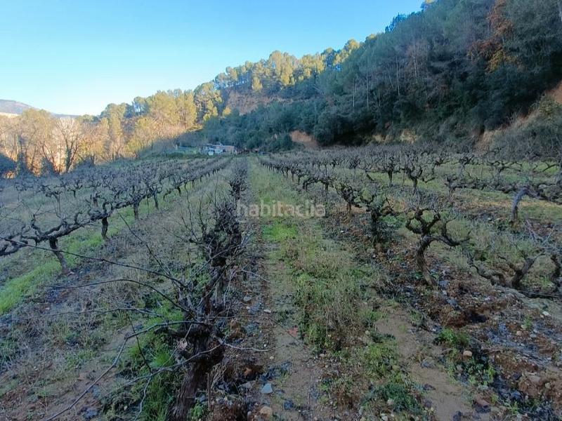 Foto 260c8cfb-77e0-4b61-a8c7-a6cb98d90c30. Finca rústica a carretera de piera 1 a Nucli Urbà Esparreguera