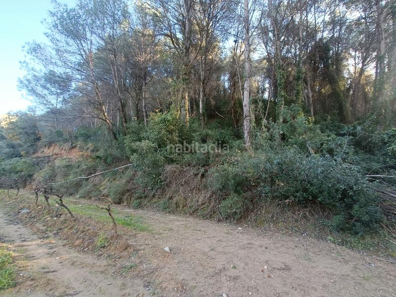 Foto 9bf9a715-1bb9-4e61-923f-0346d11c68d8. Finca rústica a carretera de piera 1 a Nucli Urbà Esparreguera