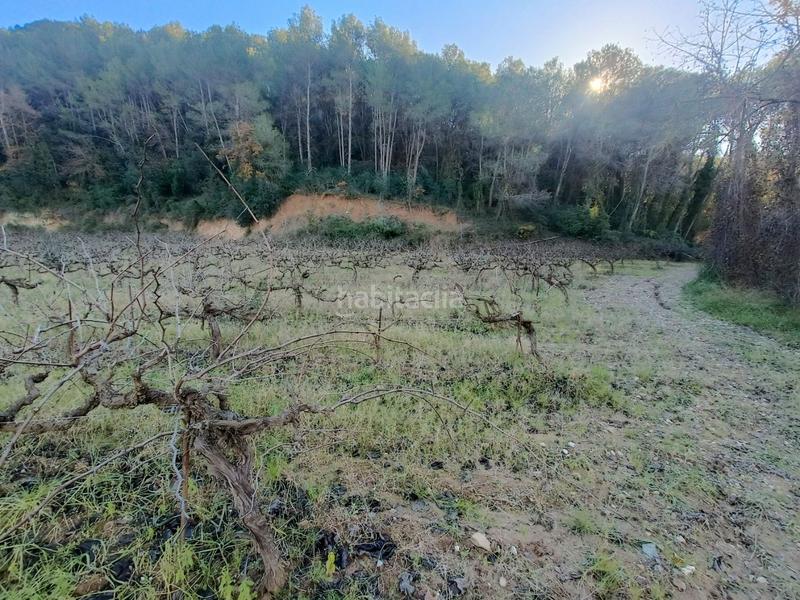 Foto cfcaefed-00b9-4487-b89b-b7b451a5f62e. Finca rústica a carretera de piera 1 a Nucli Urbà Esparreguera