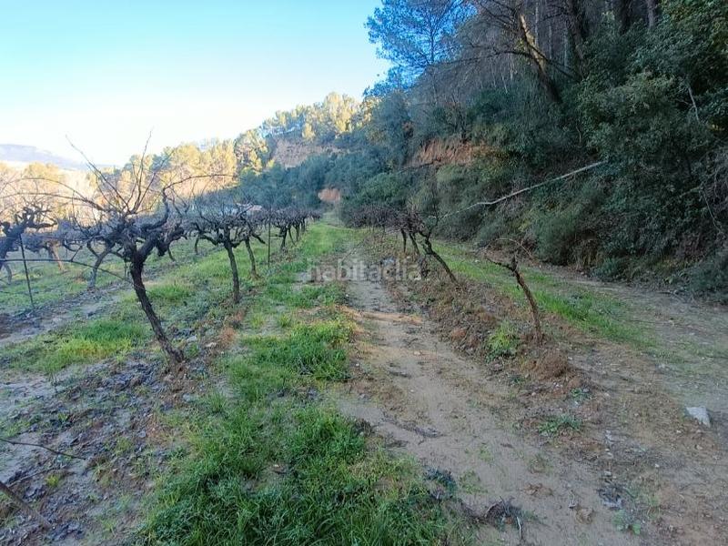 Foto dce86b22-2f82-4d19-b5b1-6c8aef499f59. Finca rústica a carretera de piera 1 a Nucli Urbà Esparreguera
