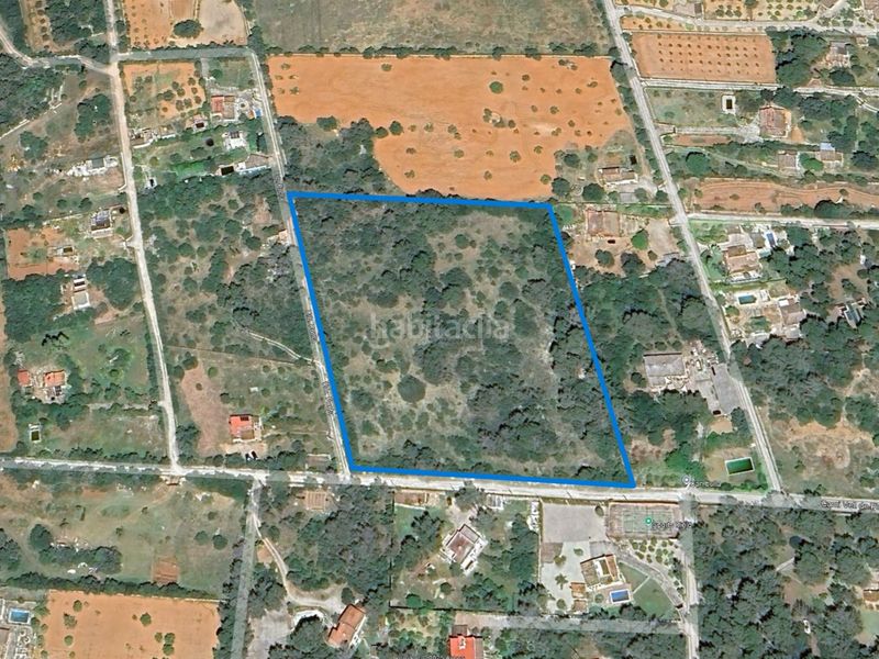 Foto 1cad6296-2cfc-4aa7-8418-2f46dad98474. Finca rústica a urb. punta 1 a Sa Casa Blanca Palma de Mallorca