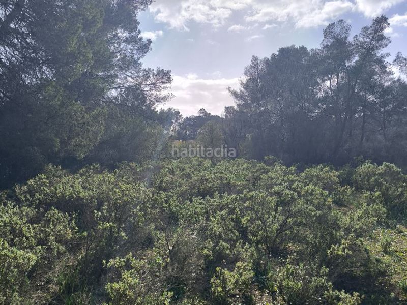 Foto 9f4379d8-f527-4f28-8790-7ed7c316528e. Finca rústica a urb. punta 1 a Sa Casa Blanca Palma de Mallorca