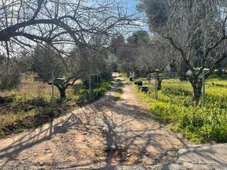 Masia a Calle montseny 9. Finca rustica en venta