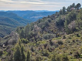 Propriété à Masia parra 131. 2 parcelas en venta en la zona de lucena del cid