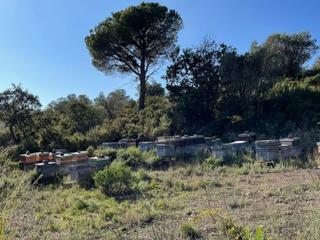 Finca rústica a N-260 10. Finca rústica en venta – oportunidad agrícola y apícola
