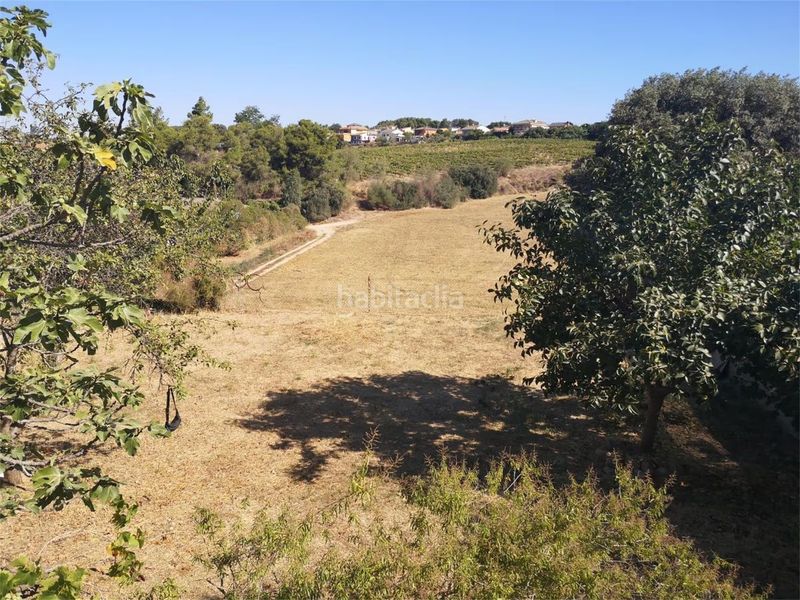 Foto 36fb292f-1497-4d6b-b80c-6b07e969e044. Terreny residencial a carrer remeis 2 a Piera