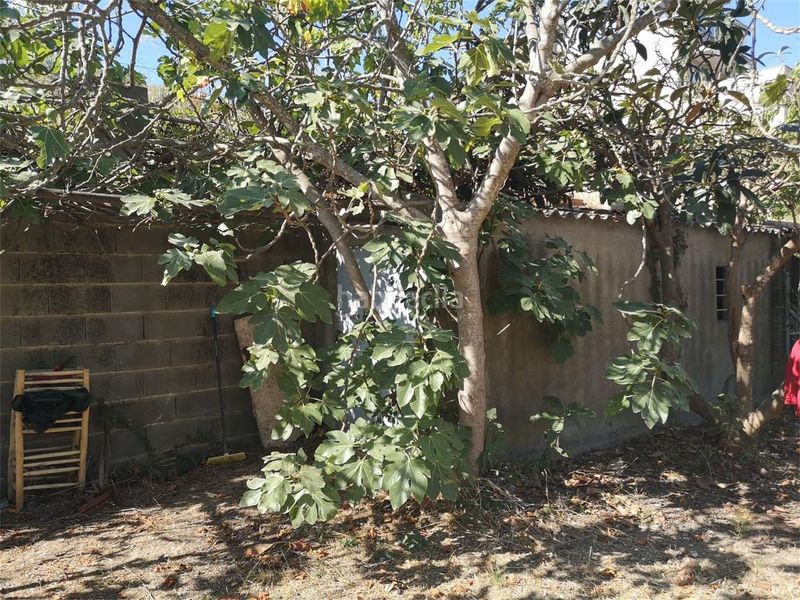 Foto 6d3917da-32a6-43db-9e44-62f3ae95cf5a. Terreny residencial a carrer remeis 2 a Piera