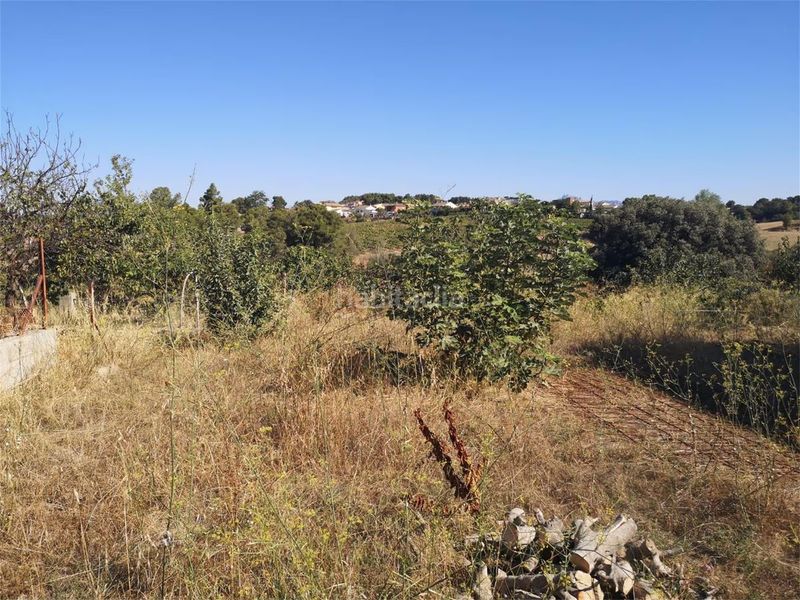 Foto 932c0cf0-e939-415d-82ca-41f2be8ec997. Terreny residencial a carrer remeis 2 a Piera
