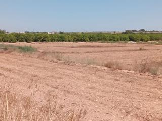 Finca rústica a Partida torrejón de san bruno 52. Terreno muy bien situado
