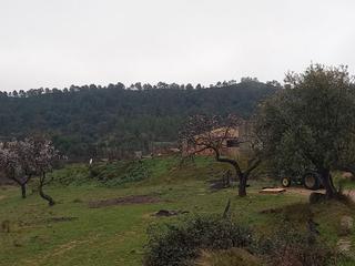 Finca rústica a Carrer de freginals 0. Terreno con 3 naves, con vistas a las montañas