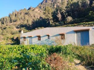 Rural plot in C-12 42. Se vende finca