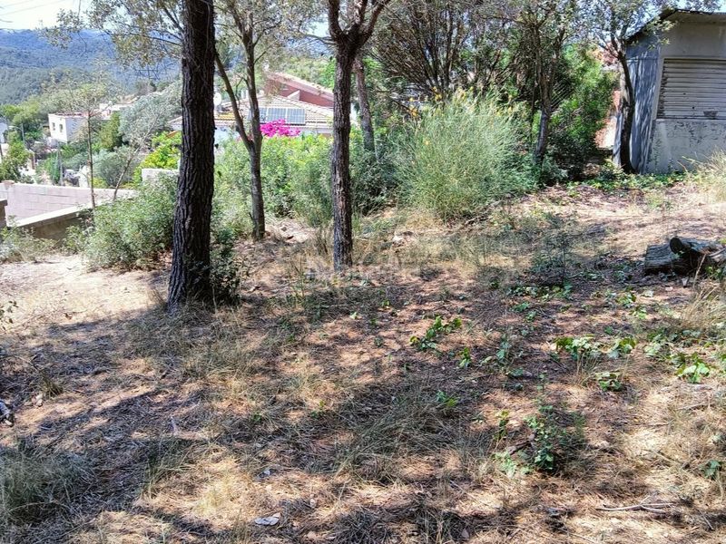 Foto 92f735f1-11e9-4146-af68-f28b025c8eb8. Chalet in avinguda dolça de provença 33 in Torrelles de Llobregat