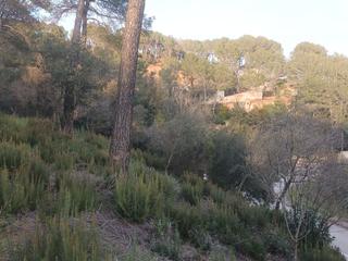 Terrain résidentiel à Av. torrelletes 24. Terreno para una o dos viviendas