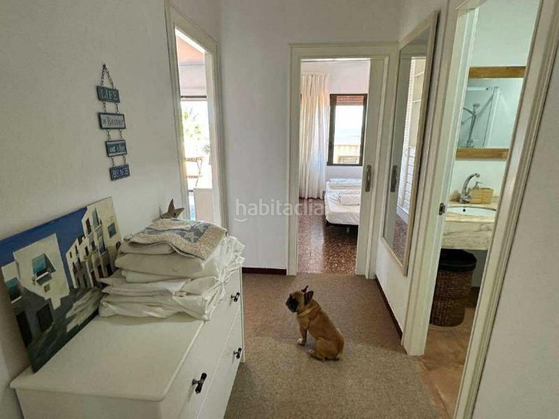 Foto c8d59cca-8f49-4ac1-a695-4bb2c1ef2fd5. Miete dachwohnung in Cala Puntal l 1 in Cala Puntal Vinaròs