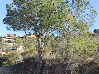 Terreno residenziale in Ebre 1. Parcela 1100 en can gordei para crear tu vivienda ideal
