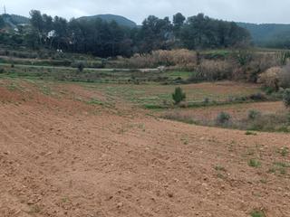 Finca rústica a C-243b 1. Futuro viñedo d.o. penedès