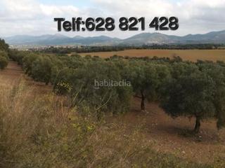 Fondo rustico in Quermenço  3