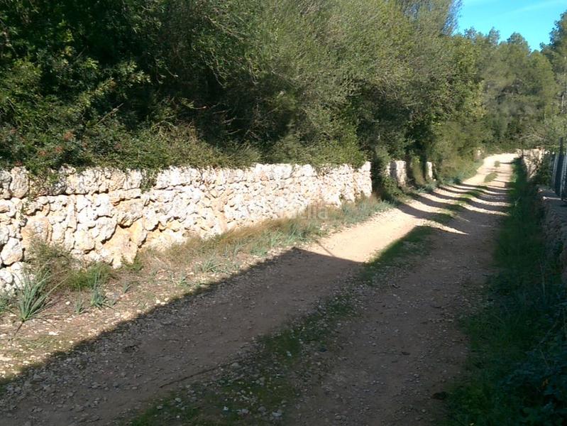 Foto 1135039b-0c04-46da-8745-76678455d5dd. Fondo rustico in carrer arraval 0 in Llubí