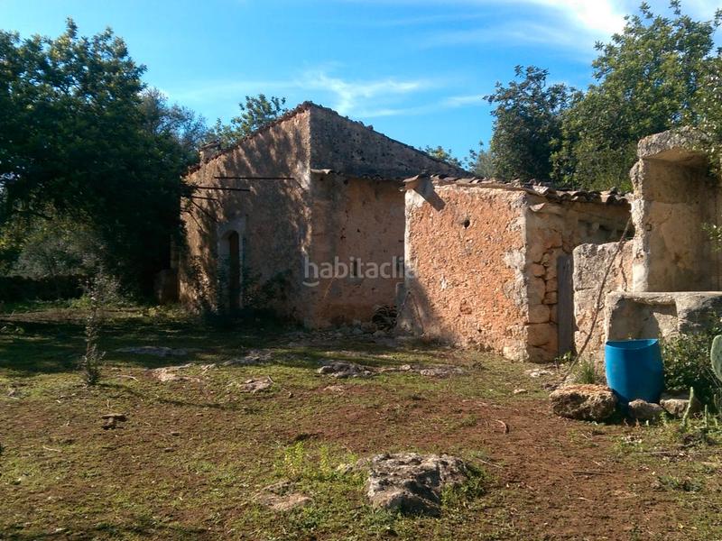 Foto 680ac017-4fad-4d67-9edd-099cfe70639c. Fondo rustico in carrer arraval 0 in Llubí