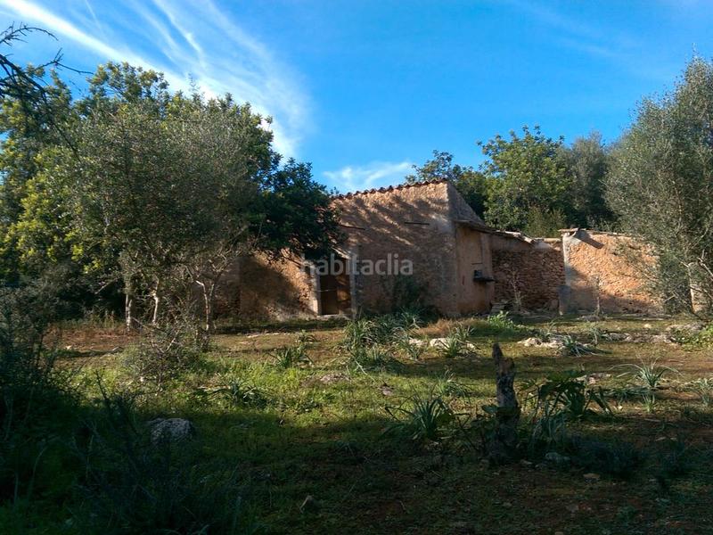 Foto 93fb35e0-1c63-4a18-9210-ac78c95842a5. Fondo rustico in carrer arraval 0 in Llubí