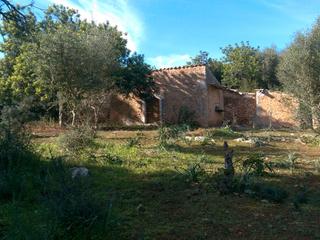 Rural plot in Carrer arraval 0. Finca con casita legal para reformar