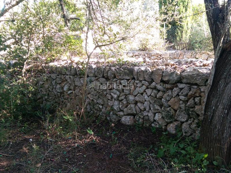 Foto b25cfdd8-8e3d-4cd9-9b11-4579f86c415c. Fondo rustico in carrer arraval 0 in Llubí